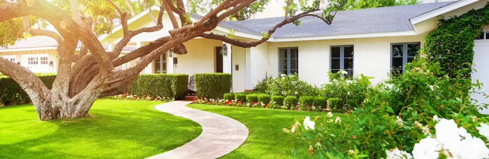 lush green front lawn and house