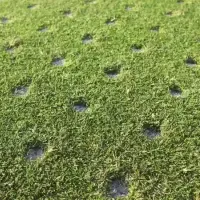 aeration-holes.