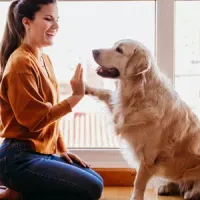 Woman and dog playing in living room